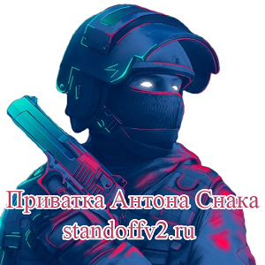 Приватка Антона Снака на ПК